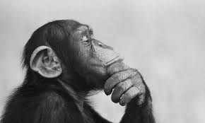 Thinking